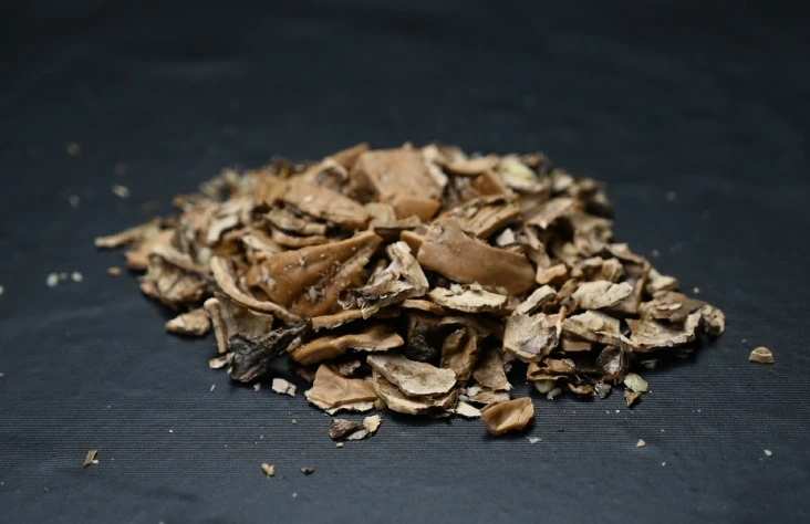 Walnut Shell